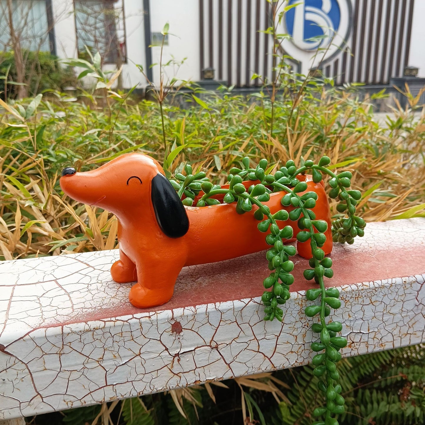 Outdoor Garden Sausage Dog Flowerpot – Der lustige Blickfang für Ihren Garten