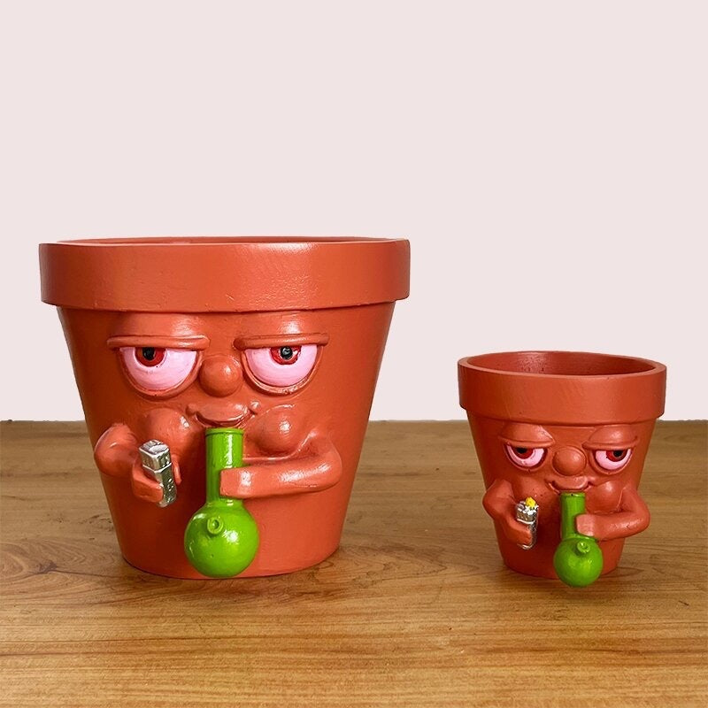 Lustiger Blumentopf – Pflanze mit Spaßfaktor