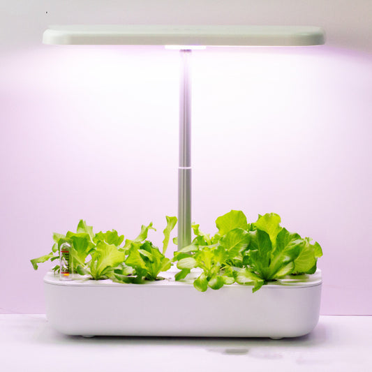 Hydroponic Smart Flower Pot – Intelligente Pflanzenpflege für Ihr Zuhause